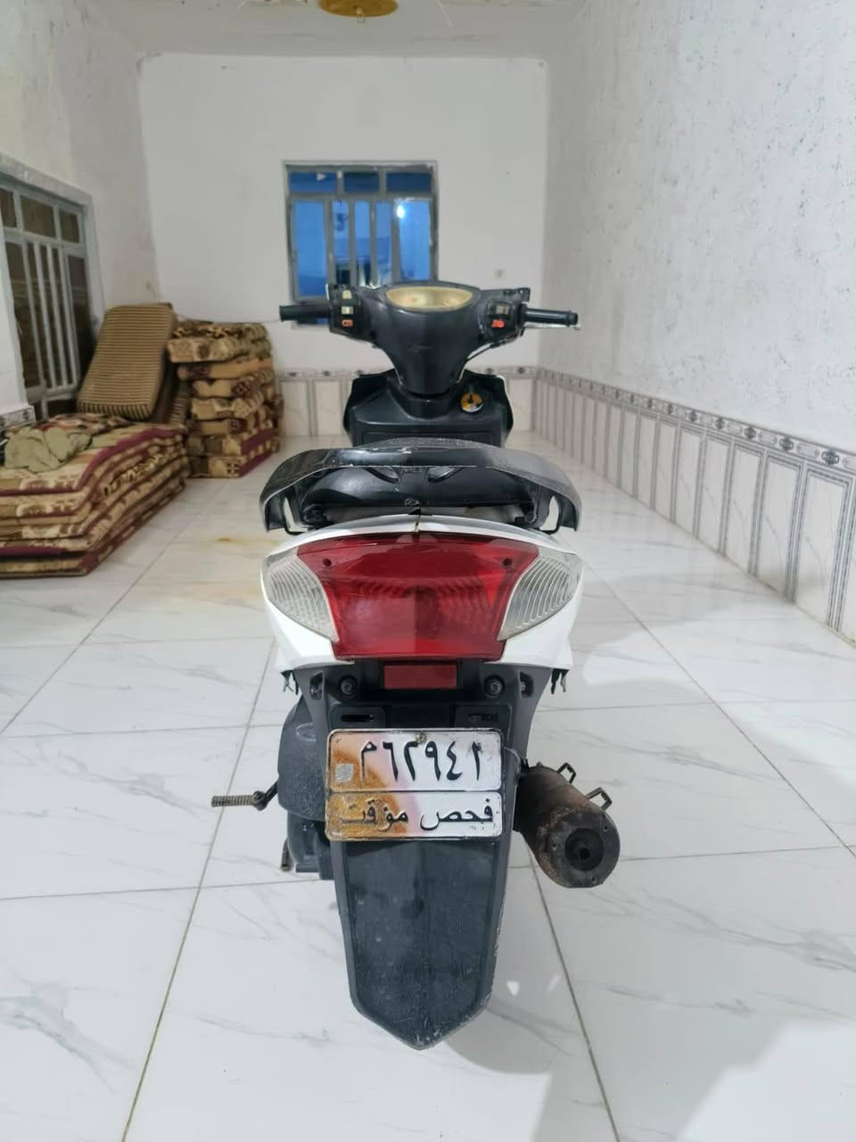 سكنز ثعلب كهربايات شغاله سلف نعومه معدل هندر مال شغل نقصهه فقط وجه ١٦٠


**إذا كنت صاحب هذا الإعلان وتريد حذفه لأي سبب، رجاءا أرسل رسالة إلى الدعم الفني**