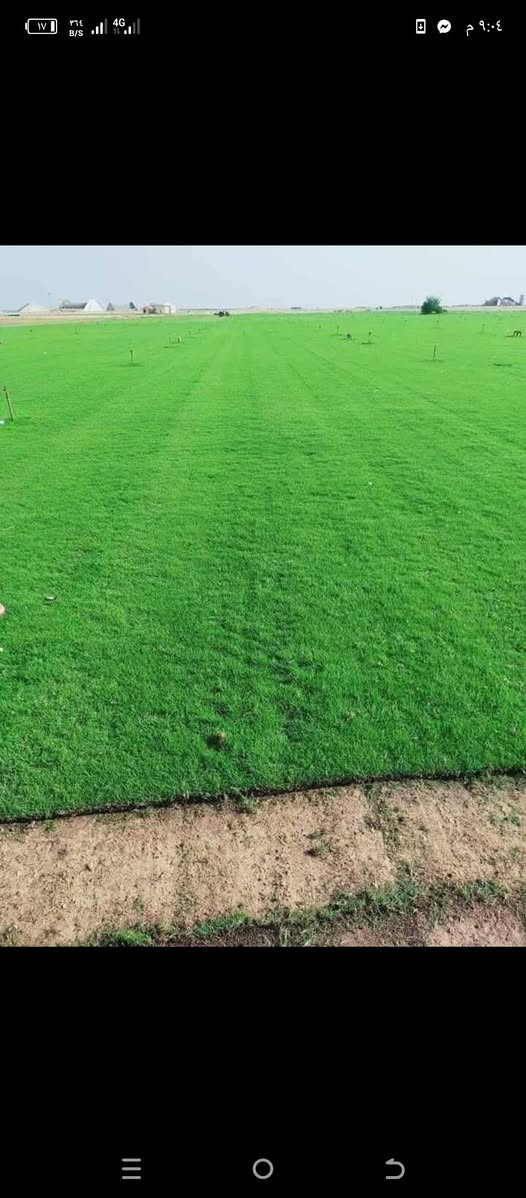 السلام عليكم
يوجد ثيل هندي درجه اولى 

سعر المتر المربع (3) ألف 
يصلك الباب البيت 
***********
