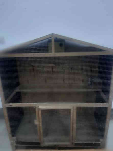 أغراض مستعمله للبيع نظافه فول شغلات بشرط على فحص  

العنوان الرمادي تاميم حاب يستفسر خاص او اتصال
(***********)وتساب
