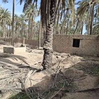 المقداديه • ٣ دوانم • طابو نهر بلور