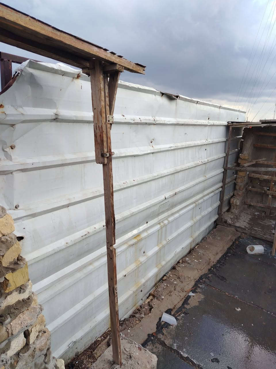 السلام عليكم جينكو هوه والحديد مالته للبيع ***********
