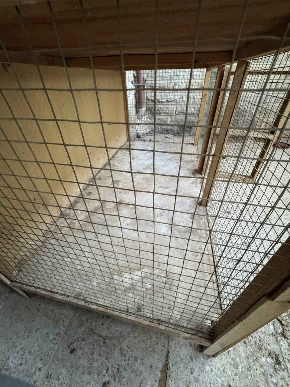 قفص للبيع
الطول 160 العرض 125 العمق 60
السعر ٦٠ الف مكاني حي الحدباء سايدين مضخه


**إذا كنت صاحب هذا الإعلان وتريد حذفه لأي سبب، رجاءا أرسل رسالة إلى الدعم الفني**