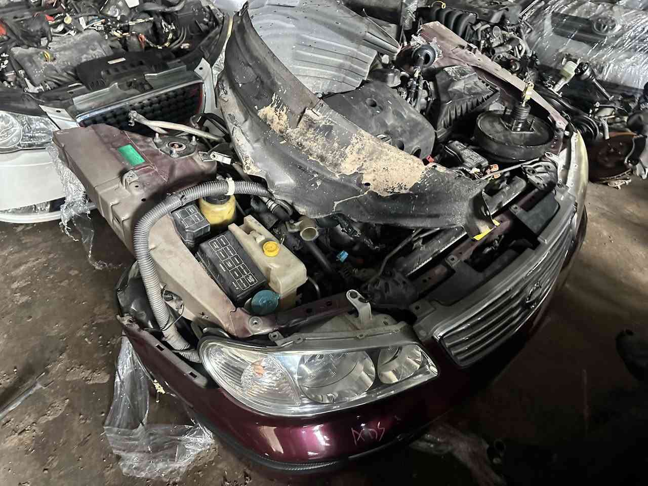 وصلت كصات. سنى. يابانى عبدالباسط.  نيسان 
أربيل. سناعه. شيماليه  ***********
