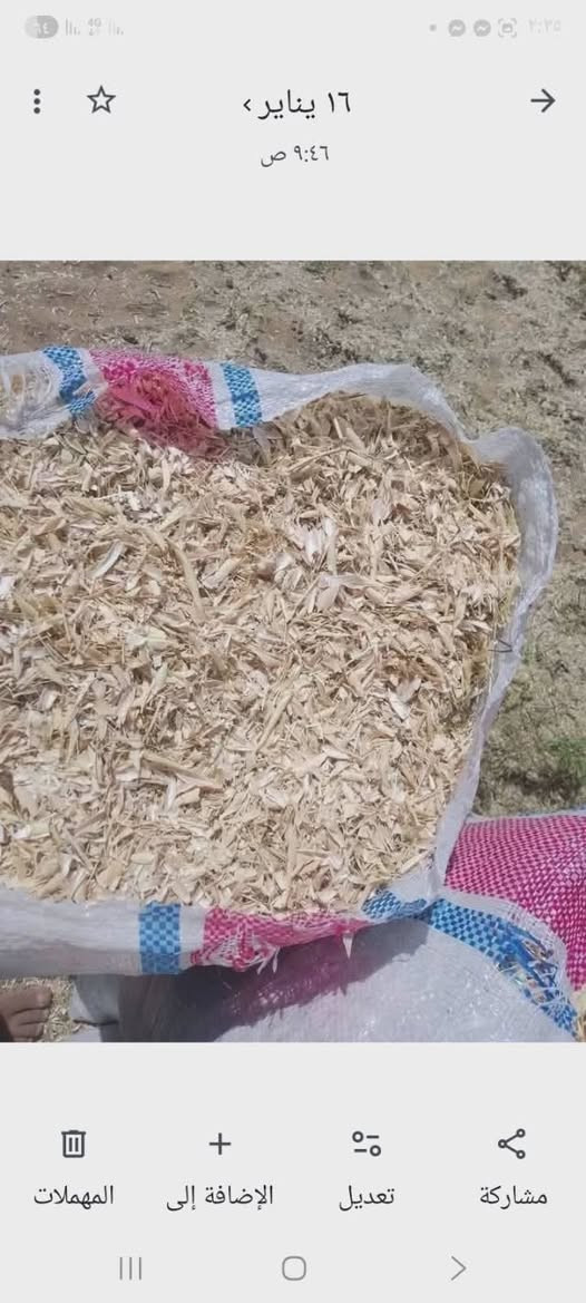 يُعتبر تبن الفاصوليا من الأعلاف الخشنة والمفيدة جداً في تغذية الحيوانات (مثل الأغنام، الماعز، والأبقار). إليك أهم مميزاته وكيفية الاستفادة منه: 
01091624622
01128964145


**إذا كنت صاحب هذا الإعلان وتريد حذفه لأي سبب، رجاءا أرسل رسالة إلى الدعم الفني**