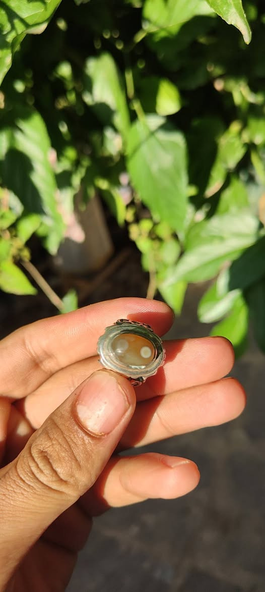 محبس سليماني قديم  (هندي) لبيع سعر خاص


**إذا كنت صاحب هذا الإعلان وتريد حذفه لأي سبب، رجاءا أرسل رسالة إلى الدعم الفني**