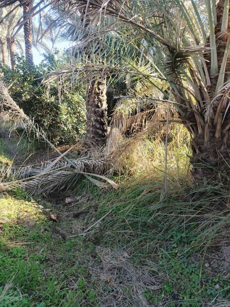 سلام عليكم 2 دونم للبيع سند 25تحويل مباشر بسم المشتري بغداد الراشدية قرية العراكنة  تبعد عن ناحية ربع ساعة وعن شارع العام طريق بغداد كركوك كيلو كهرباء ماء سقي ماء اساله تصلح سكن او مزرعة واجه 53 نزال 93 سعر 250 وبي مجال  ***********
