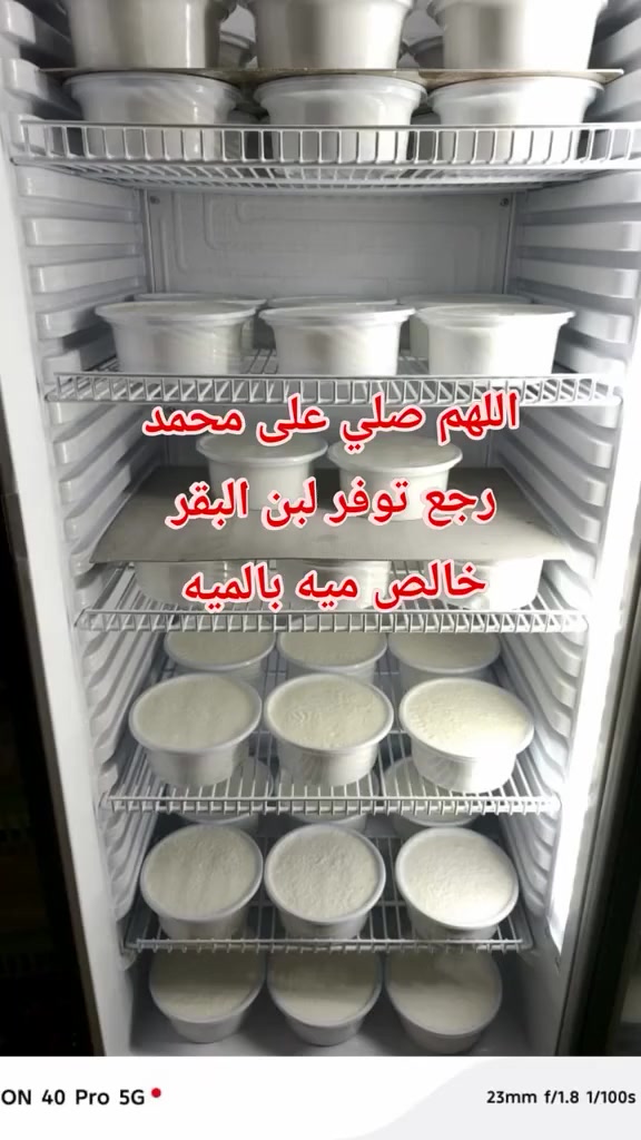 السلام عليكم ورحمة الله وبركاته
بتاريخ اليوم6/26 رجعنه بفضل الله وفرنالكم لبن البقر 

شرط فول مكفول درجه يك حياكم الله


**إذا كنت صاحب هذا الإعلان وتريد حذفه لأي سبب، رجاءا أرسل رسالة إلى الدعم الفني**