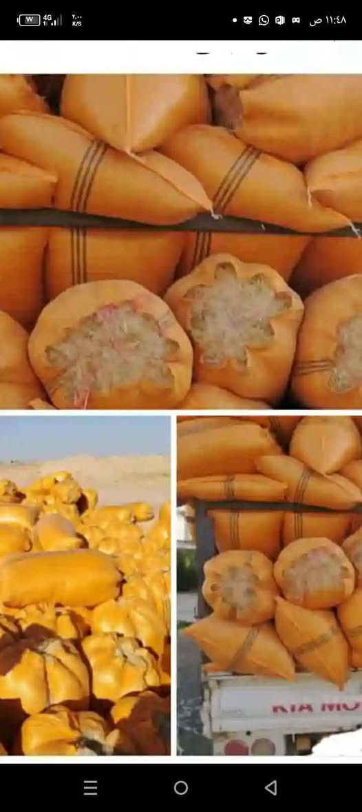 يوجد تبن مجروش بشرط النضافه وناعم مع توصيل بغداد صلاح الدين الانبار ويوجد تجهيز كميات   كل المجافضات اتصل على الرقم*********** اوراسلونا وتساب
