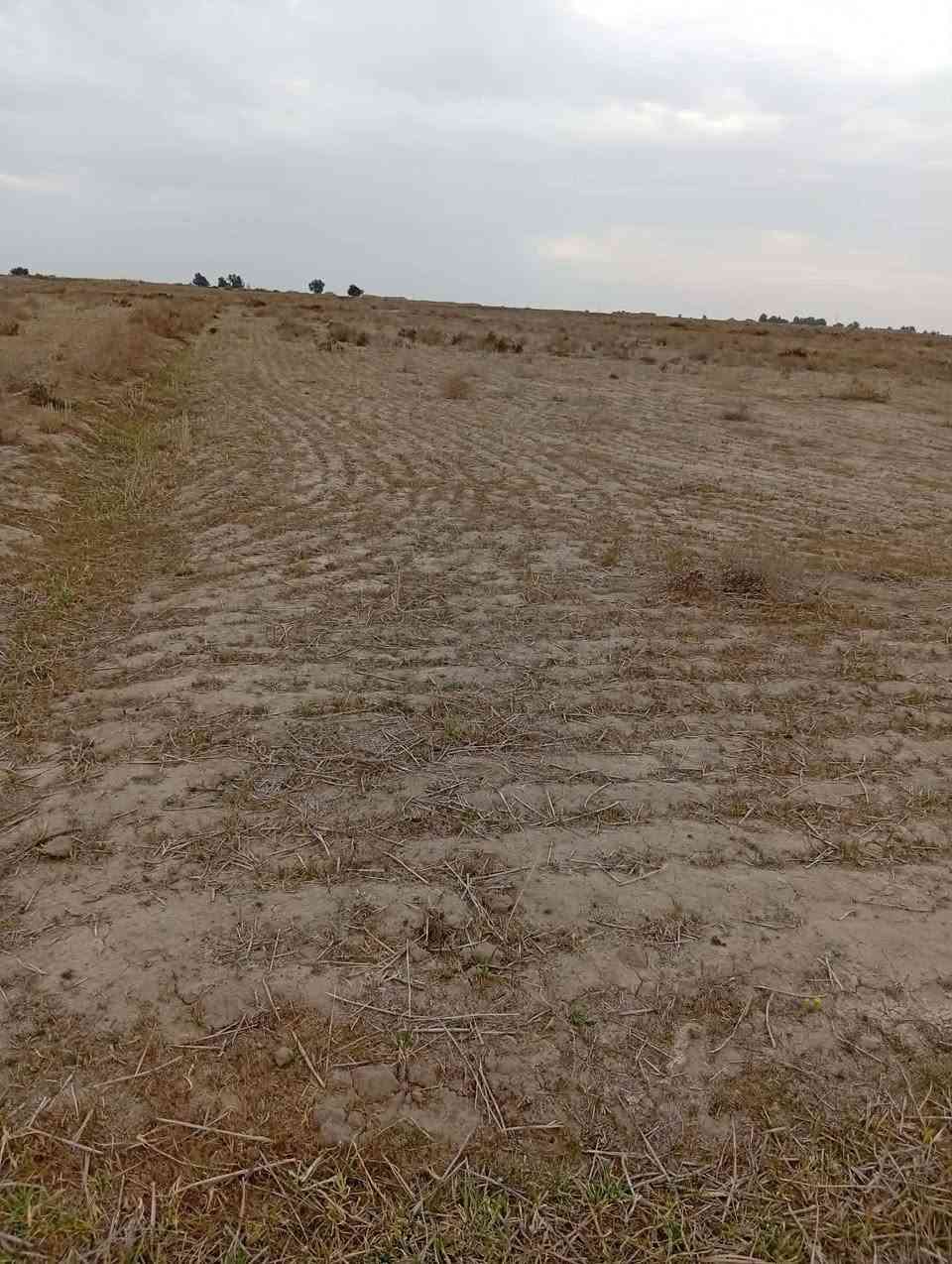 السلام عليكم. 
أرض زراعية للبيع مساحتها 70 دونم. 
أرض حلوه وصالحة للزراعة 100٪. والموسم الفات مزروعه حنطه وشعير معدله وجاهزه صايره جرف ع نهر ونهرها يحتوي ع ماء حلو من ناظم سعيدان وتحتوي ع كهرباء ضغط عالي بيها. وشارع سبيس يبعد عنها مسافة 300متر. ومسافة السبيس 7كيلوات يصعدك ع شارع الساده الاخوان. والارض حلوه جداً وصالحة للزراعة والسكن.العنوان قريه.    ال رويحان  
للاستفسار أكثر الاتصال ع رقم.***********
