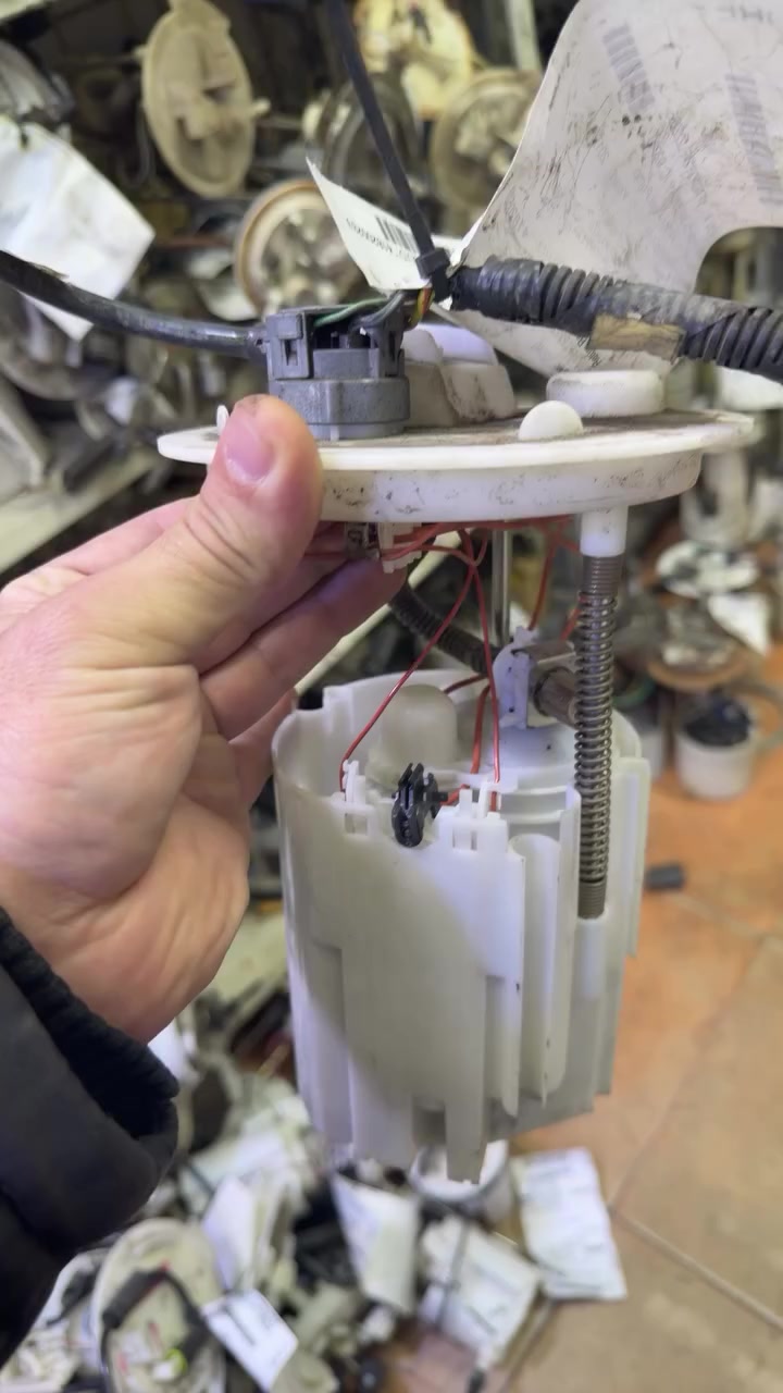 السلام وعليكم تتوفر جميع انواع القواعد فيت بم الفورد اكسبديشن جميع الموديلات وجميع انواع الفورد لاسعار مناسبه وحلوه لاصحاب المحلات اسعار جمله حلوه هم ***********
