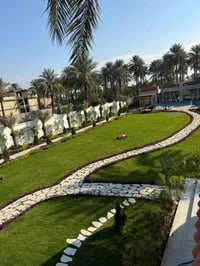 يوجد لدينا مزارع اليجار في البوعيثة بسعر 07865953969مناسب موثقة بتطبيق...