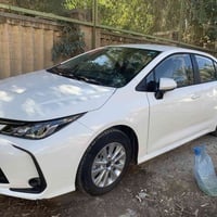 كورلا هابرد • ٢٠٢٥ • رقم بغداد