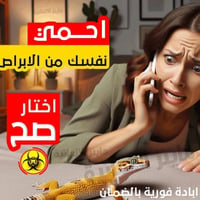 مكافحة حشرات • مكافحة الارضه • رش حشرات • القضاء على الفئران • القضاء ...