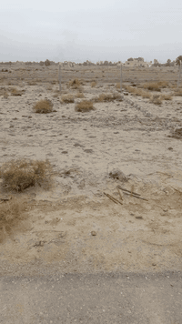 مجمع الشبلاوي • ٤٥٠م • عرصة زراعية