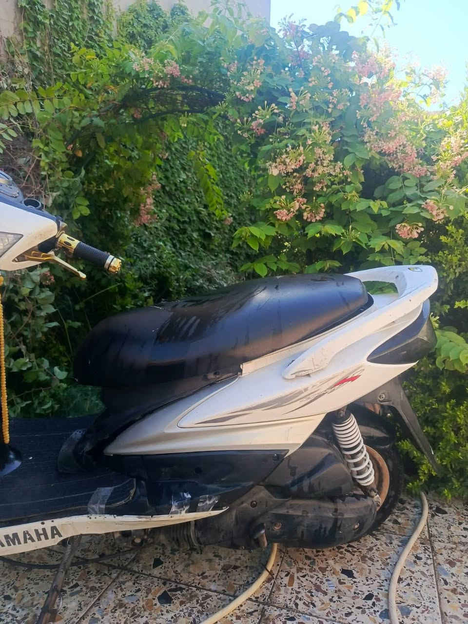 سكنس فحل مكان بغداد الجديدة سعر ٤٠٠ موبايل ‭***********‬
