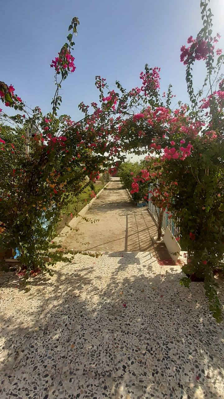 السلام عليكم
نصف دونم (١٢٥٠ متر) 
ملك صرف سند ٢٥
 واجهة ١٢ ونص نزال ١٠٠ 
يحتوي على دار٣١٧ متر
يحتوي على ٣ غرف نوم
+مسبح 
+ حدائق واشجار مثمرة
 + كراج يسع عشر سيارات
 بيت بناء حديث ٢٠٢٢ 

منطقة الاوسمة والانواط في بغداد 
***********بي واتساب
