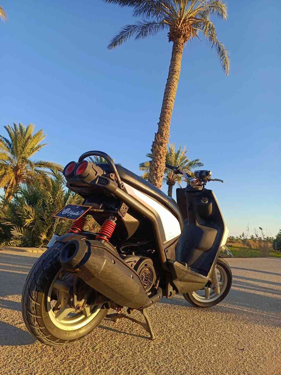 السلام عليكم دراجه سكنس جبلي دراجه مصالها شهر من طالعه رمبه دراجه بعدهي بملها وين ماتريد تفحص شغل وطلع اي نقص ماكو ستيرن  Wf رياضي مروحه رياضي دراجه كامله مكمله على اخر حبايه السعر 1350.بيها مجال للطيبين


**إذا كنت صاحب هذا الإعلان وتريد حذفه لأي سبب، رجاءا أرسل رسالة إلى الدعم الفني**