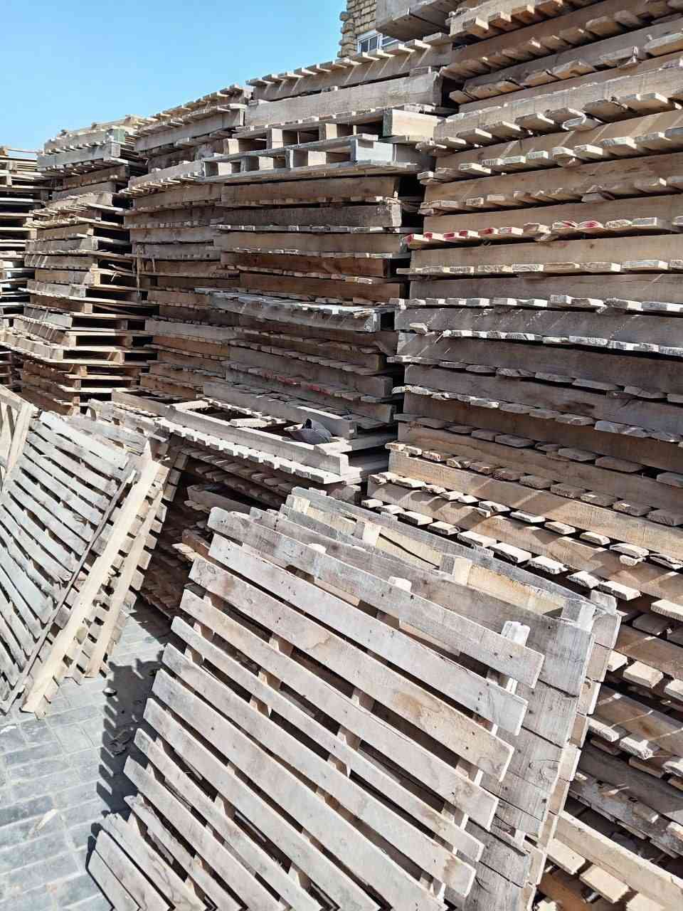 السلام عليكم سكيب للبيع عدد 800 مكان كوت***********
