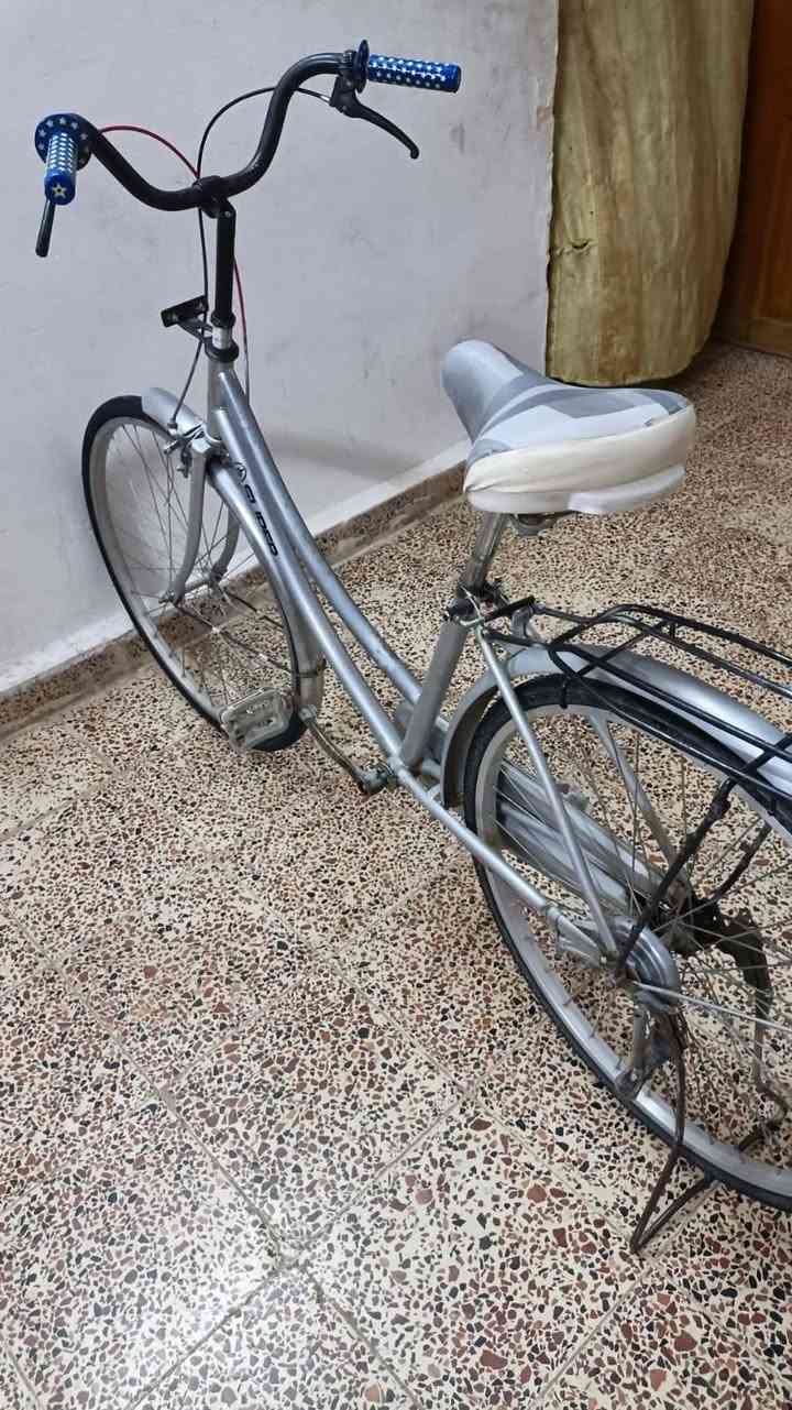 سلام عليكم الموشراي يصلي ع نبي ويعبر المنشور 🌹بايسكل حجم 26 ياباني شرط فول نضافه شرط زوج تايرات جوابه بريكات كامل شرط برغي نقص مابي وانضف واحلى منل صور مكاني تكريت القادسيه سعر 60 وبي مجال بسيط


**إذا كنت صاحب هذا الإعلان وتريد حذفه لأي سبب، رجاءا أرسل رسالة إلى الدعم الفني**