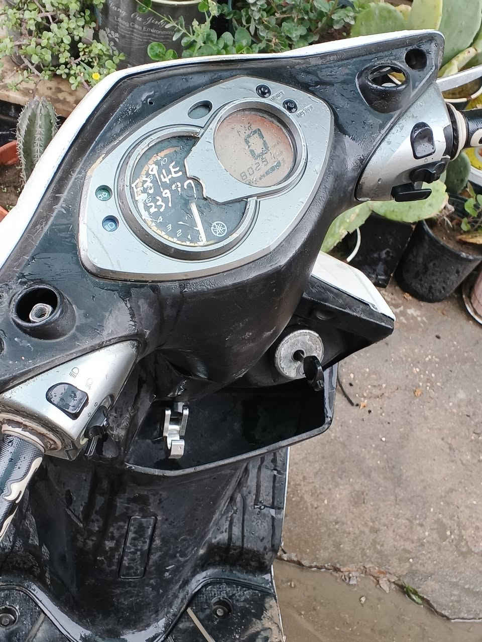 دراجة سكنس فحل ياباني مفتوحة بالجديد محرك ناعم شغالة نگرة سلف هندر كهربائيات كاملة ماكو نقص عداد الكتروني دراجة مال جناي 
سعر 500 الف 
مكان كربلاء يم مستشفى الكفيل 
***********
