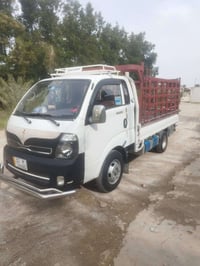 فحل ٢٠١٥ • مكفول • بابل جبله