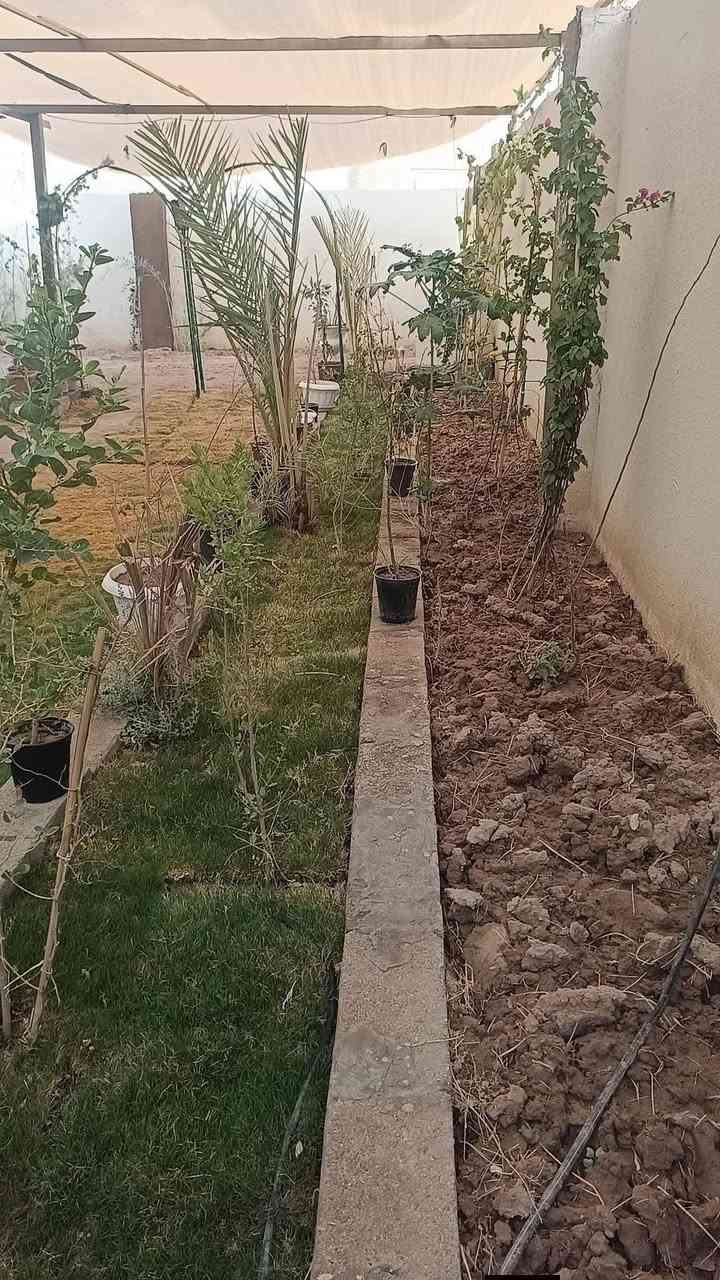 🌴 قطعة أرض مميزة للبيع – موقع هادئ وقريب من النهر
🔹 المساحة: 350 متر
📄 نوع الطابو: ملك صرف
📑 تحويل سهم بالطابو
⚡ كافة الخدمات متوفرة
🧱 الأرض مسيّجة بالكامل
📏 تبعد عن السايدين 250 متر
🏡 تحتوي على دار استراحة
• غرفتين
• استقبال
• البناء واصل حد الرباط
🌴 تحتوي على أنواع مختلفة من النخيل
📍 العنوان: أبي الخصيب – منطقة نهر خوز جهة شط العرب
💰 السعر: 100 مليون
🤝 بي مجال للجادين
📞 للاستفسار: ***********
✨ مكان مناسب للراحة أو السكن والاستثمار
