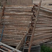 سقالات • قفص • بدون عقرب