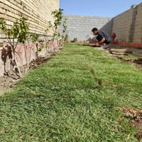 السفينة ذي قار • تنسيق حدائق • زرع شتلات