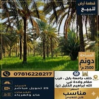 دونم • سند ٢٥ زراعي • خلف جامعة بابل