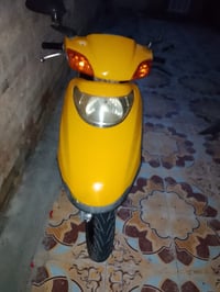 سبيسي ياباني • مكينة ناعمة • كوت زين القوس