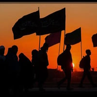 زوار الحسين • مواكب • ماء ومجاري وصحيات