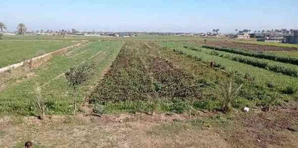 اللي يريد ديوانم مناسبه استثمر فلوسك اربع دوانم بيها بيت مساحه 250 سند 25 باسم شخص واحد خدمات كامله ماء اساله وسكي وكهرباء وتبليط السعر دونم  30وتقييم البيت 50 الرضوانيه الشرقيه منطقه الرعيد قرب جامع مدينه المنوره لاستفسار على الرقم***********
