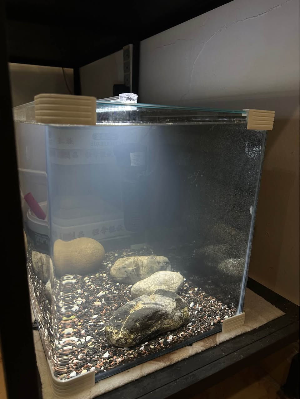 بە كاملی نرخی بۆتە  ٤٥ هەزار .. داشكانی بۆ كراوە
حەوزی شەریكەی پێش قەوس دیزاین كراوە
لیدێكی سپی لەگەڵە
سەقفی شوشەی شەریكەی خۆی لەگەڵە
فلتەری ناو حەوزی لەگەڵەو هەمیش ئۆكسجینە
 بنی حەوزەكە بە بەردی ورد ڕازاوەتەوە
چەند بەردێكی  گەورەی جوانی لەگەڵە وەك دیزاین
پشتی باگراوندی ڕەشی لێدراوە
قیاسی درێژی ٥٠ سم بەرزی ٣٦ سم پانی ٣١ سم
___________________
ئەوەی ویستی نامە بنێرێت لە واتس ئەپ یا ڤایبەر 
***********
گەیاندنمان تەنھا بۆ ناو سلێمانی ھەیە السليمانية, العراق
