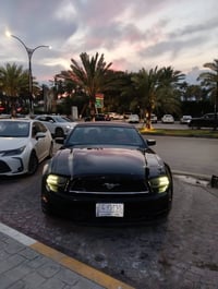 موستنك موديل 2013 لون اسود مكفوله من الصبغ عدا الجاملغ الخلف السايق حا...