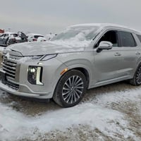 بليسايد كلغرافي • ٢٠٢٤ • مزاد ١٣/٢/٢٠٢٦