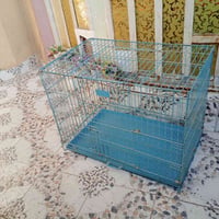 قفص
