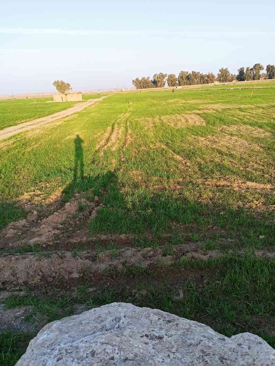 قطع اراضي للبيع في حمام العليل قرب مستودع النفط ومعمل الغاز سند 25 طابو زراعي


**إذا كنت صاحب هذا الإعلان وتريد حذفه لأي سبب، رجاءا أرسل رسالة إلى الدعم الفني**
