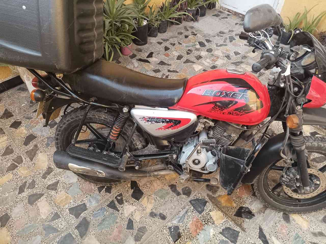 السلام عليكم بوكسر احمر
موديل 2022 مرقم بسمي تحويل ثاني يوم 
السعر  مليونين وبيهة مجال 
الرقم *********** واتساب
