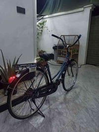 سانتوس ياباني • بدون صبغ • الرمادي ٥كم