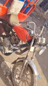 ستوته • أوراقه • قضاء الصادق