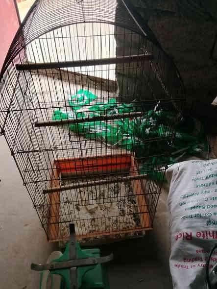 للبيع شلع  قلع كامل سعر 70 بي مجال للطيبين الرقم ***********.    ***********
