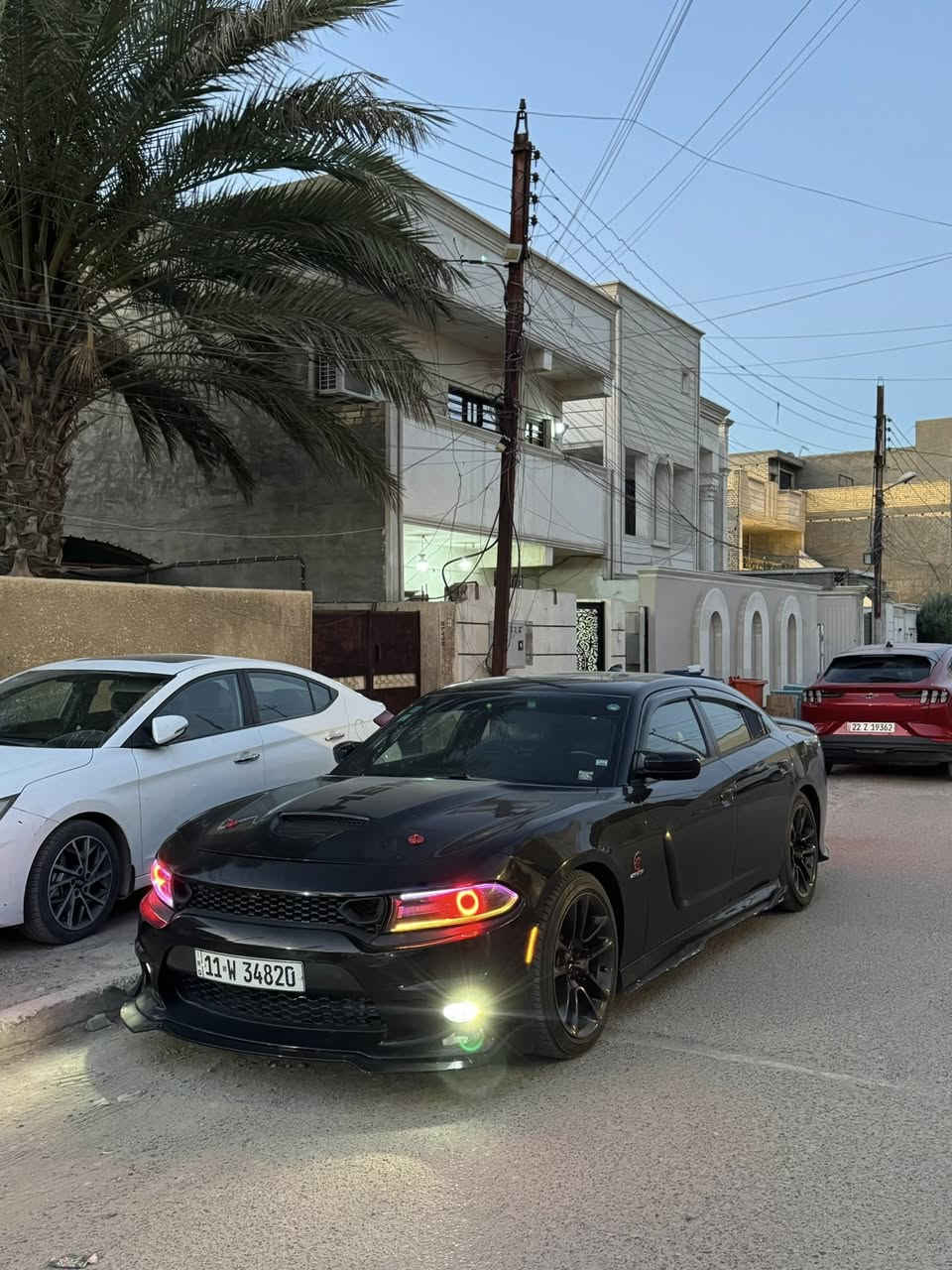 جارجر RT/MAX 2016 بدون ايرباك
٠ مكينه 5700
•فتحه 
٠رادار جانبي
٠ حساسات خلفيه
٠كامره خلفيه
٠تبريد تدفئه كشنات
٠كشنات جلد
٠تدفئه استيرن
٠كشنات كهرباء
٠تدفئه كشنات خلفيه
٠مثبت سرعه
عليها اضافات
1 لد متغير لايتات امامي
2 اضافه لد متغير ابواب مع دشبول
3دبات سود مع وسطيات slp
4 وياله سكات جديده قبل فتره شديتها مع تايرات
5لحيه اماميه
6 سويلر هيلكات اصلي
7 صدر امامي خلفي جديد سيارع مابيها اي صوت حداديه حادث السياره جاملغ خلفي مع باب الباب مبدل نفس اللون وجاملغ عكس سايق صبغ هنا انصبغت يعني سياره قطعتين صبغ فقط وسياره محادثه SRT
ماشيه السياره 84 الف ميل عنواني بغداد العامرية
سعر السياره 174
***********
