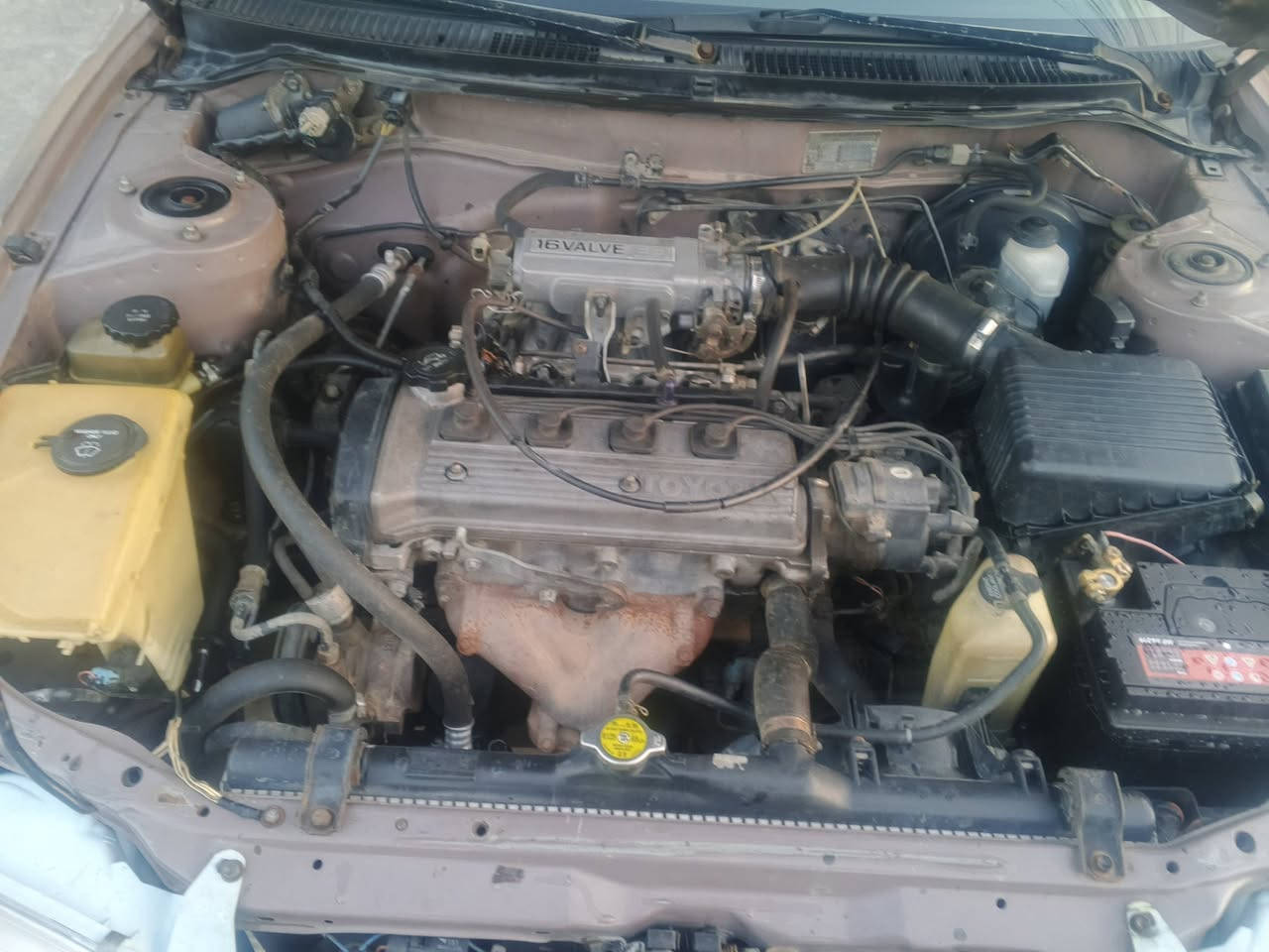 السلام عليكم
كورلا 1992يسرى بلاد 
تبريد تدفئه شغال 
صدر امامي خلفي تخم تأير باتري جديد 
رقم هزه سنويه بغداد جديد 
بدون ضربه 
للاستفسار ***********
