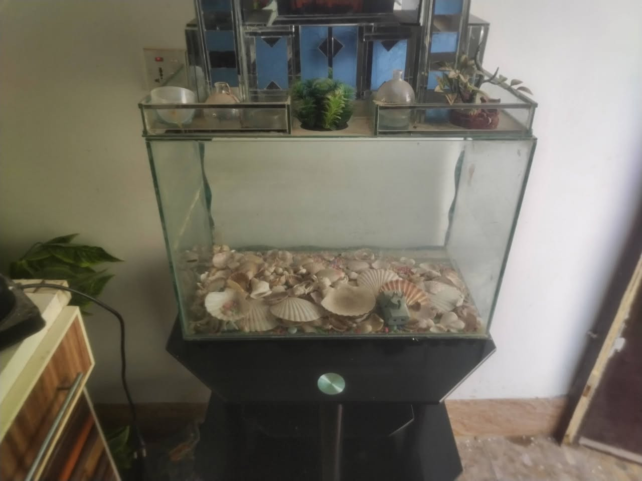 السلام عليكم حوض سمك مع قاعدة ب 70 بدون قاعدة 50وبيه مجال يحتوي عل زينة اسماك وحوض سليم مابيه لازرف ولا شخط 🐟🐠🐡🐚🪸 للتواصل مازنجر وذا عل رقم *********** وشكرا
