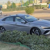 النترا هايبرد • ٢٠٢٤ • بدون صبغ