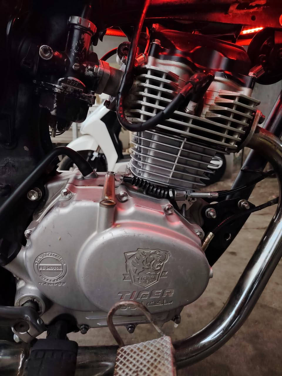 تايكر ٢٠٢٠ محرك مفتوح مبدل سلندر كامل جديد المحرك اخرس شرط المحرك أخرس شلعه ومعدل كهربائيات كله شغاله مابيه اي نقص الماطور كله شرط جديد العنوان حي البكر بعد جامع البديع رقم تلفون *********** بيه واتساب اخوان خاص مارد واتساب أو اتصال عله الخط السعر ٣٧٥ الف بيه مجال للطيبين
