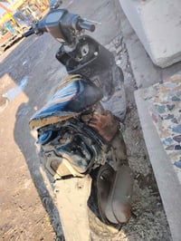 بوتين • ابو الكير • شاصي ملحوم