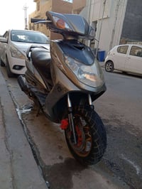 سكنس فحل كابريته للبيع 450 مكان بغداد الغزاليه اي ستفسار اتصل 07723726...