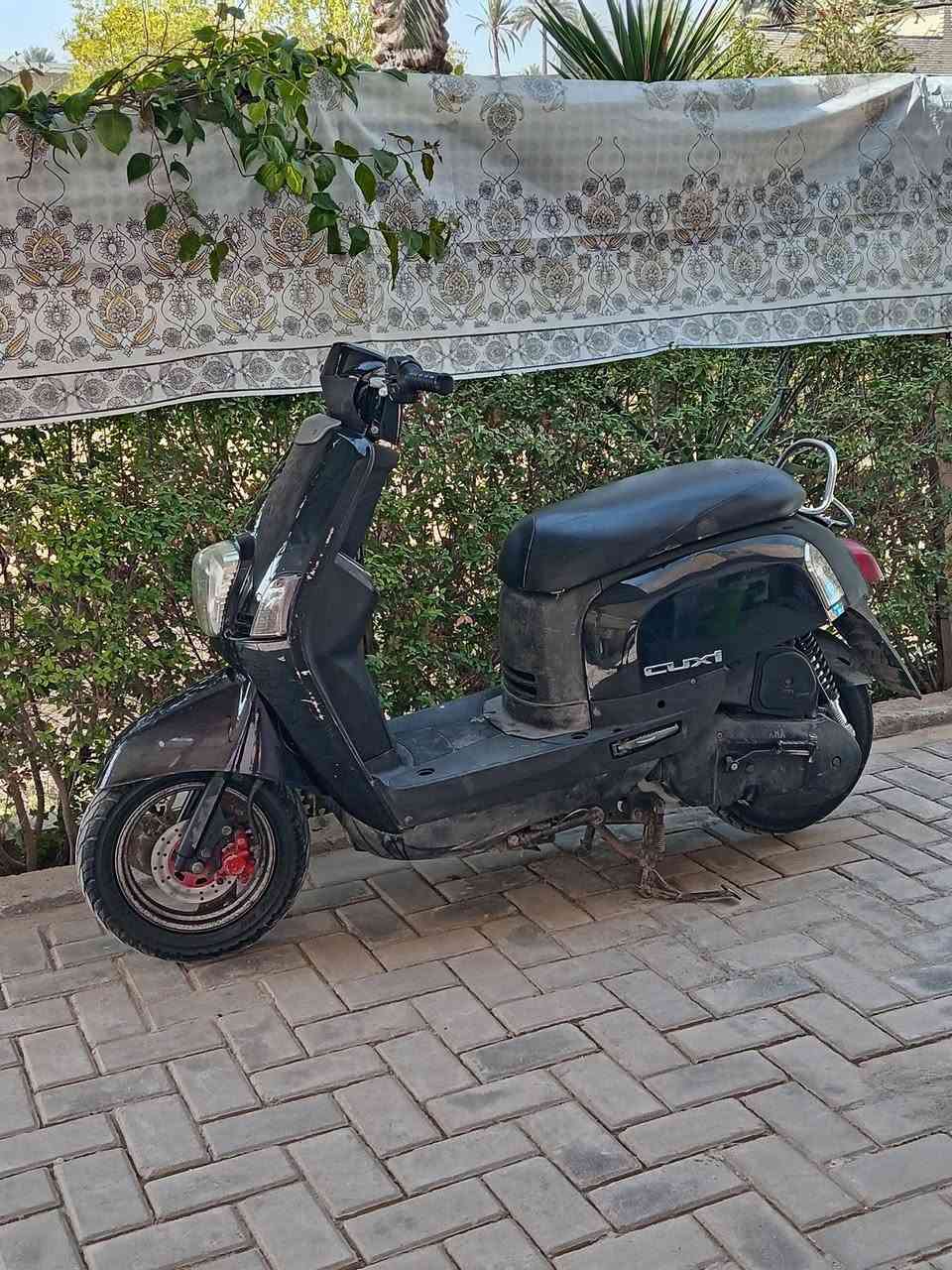 السلام عليكم دراجه بوليس للبيع دراجه نضيفه مكينتها ناعمه كلشي شغال اي نقص مابيها.. السعر 750وبيه مجال الشراي يتصل على هذا الرقم *********** وخاص موجود.. مكان كربلاء شارع السيده زينب
