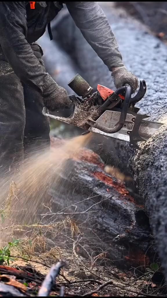 لتقطيع  النخيل والاشجار


**إذا كنت صاحب هذا الإعلان وتريد حذفه لأي سبب، رجاءا أرسل رسالة إلى الدعم الفني**